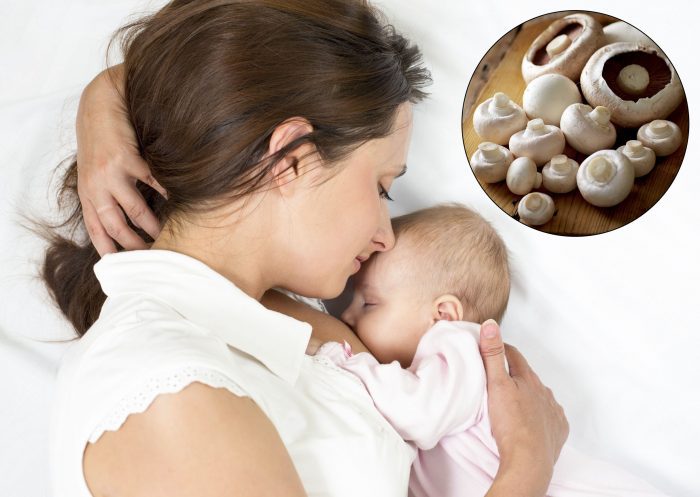 Nấm mỡ có công dụng lợi sữa đối với phụ nữ sau sinh.