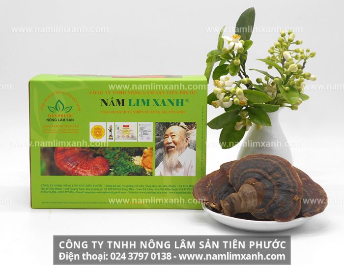 Bán nấm lim xanh ở Tiền Giang với tác dụng nước nấm và địa chỉ bán
