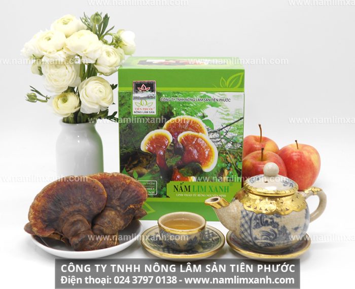 Bán nấm lim xanh tại Tuyên Quang với giá tiền 1kg và cách phân biệt