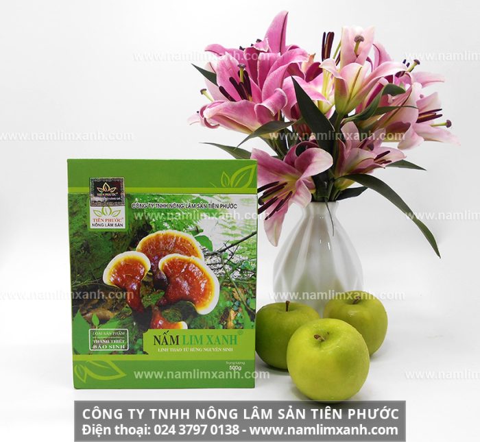 Công ty TNHH Nấm lim xanh Việt Nam chuyên cung cấp sản phẩm nấm lim xanh chính hãng