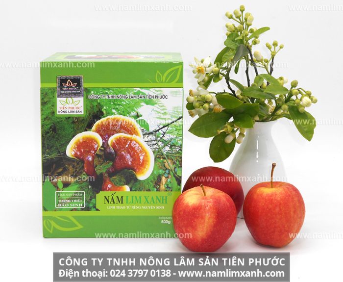 Đại lý Nấm lim xanh Quảng Nam tại Gia Lai và bảng giá nấm lim xanh Nông lâm sản Tiên Phước