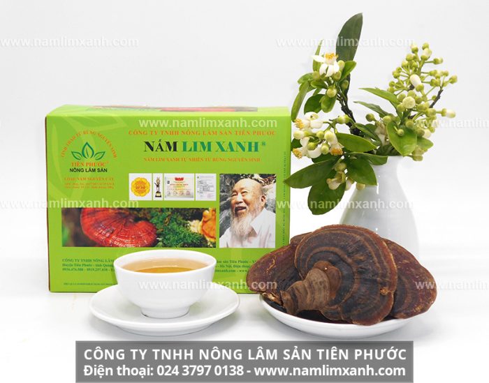 Địa chỉ bán nấm lim xanh chất lượng của Công ty TNHH Nấm lim xanh Việt Nam tại Bến Tre