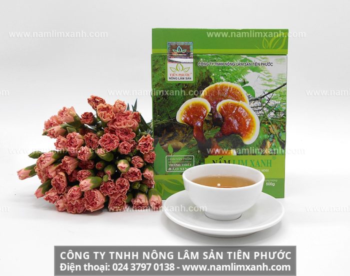 Địa chỉ bán nấm lim xanh chất lượng của Công ty TNHH Nấm lim xanh Việt Nam tại Đồng Tháp