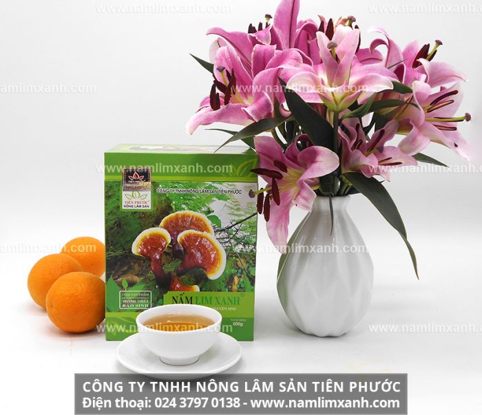 Địa chỉ bán nấm lim xanh chính hãng tại Bình Thuận và giá nấm lim xanh Thanh Thiết Bảo Sinh