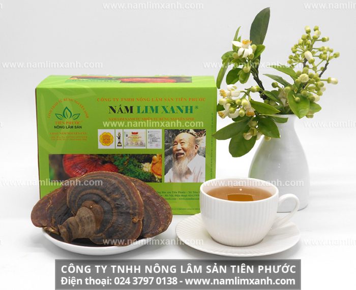 Địa chỉ mua nấm lim xanh ở Đà Nẵng và nơi bán nấm lim xanh rừng đúng tác dụng cây nấm lim