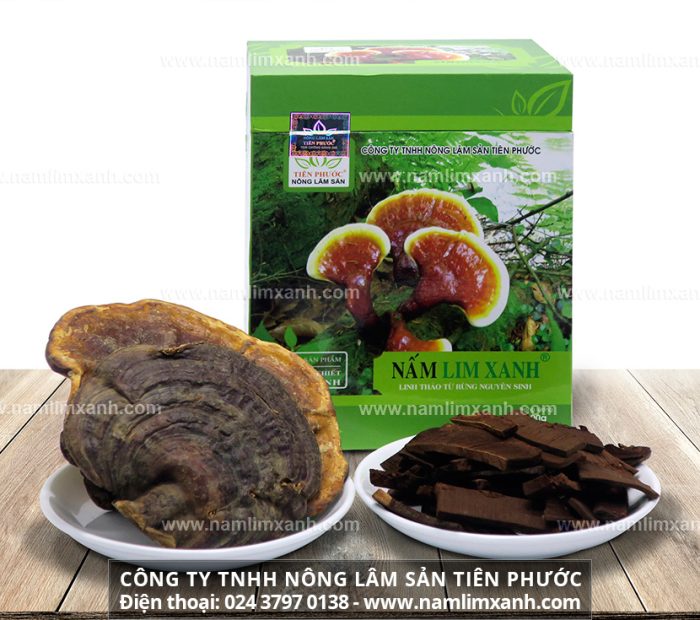 Giá bán 1kg nấm lim xanh tại Khánh Hòa với công dụng và địa chỉ bán