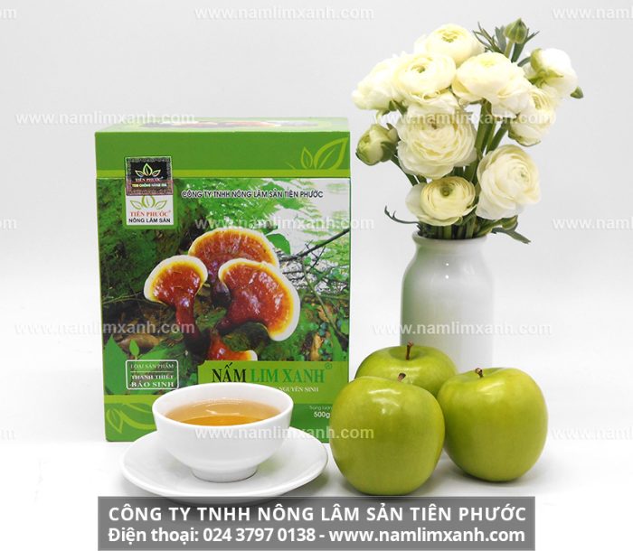 Giá bán của nấm lim xanh rừng tại Điện Biên với công dụng nấm lim