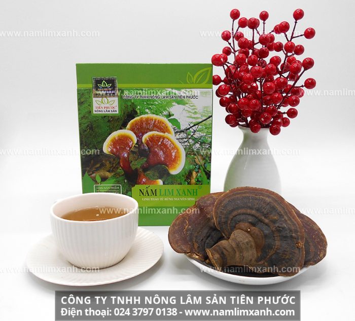 Giá bán nấm lim xanh rừng ở Đà Nẵng và mua nấm lim xanh ở đâu tốt nhất