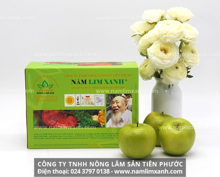 Giá nấm gỗ lim xanh tự nhiên trên thị trường và bảng giá cây nấm lim công ty Nông lâm sản Tiên Phước