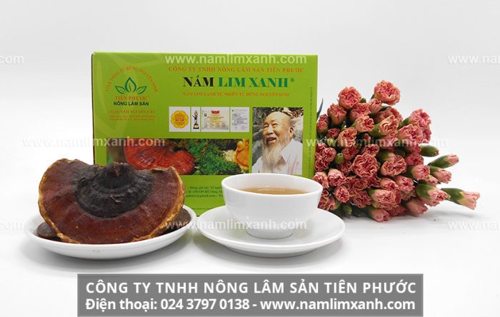 Giá nấm lim xanh Quảng Nam được đưa ra bởi Công ty TNHH Nấm lim xanh Việt Nam
