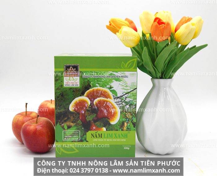 Mua nấm lim xanh Quảng Nam ở đâu là tốt nhất và giá bán 1kg nấm lim xanh Thanh Thiết Bảo Sinh