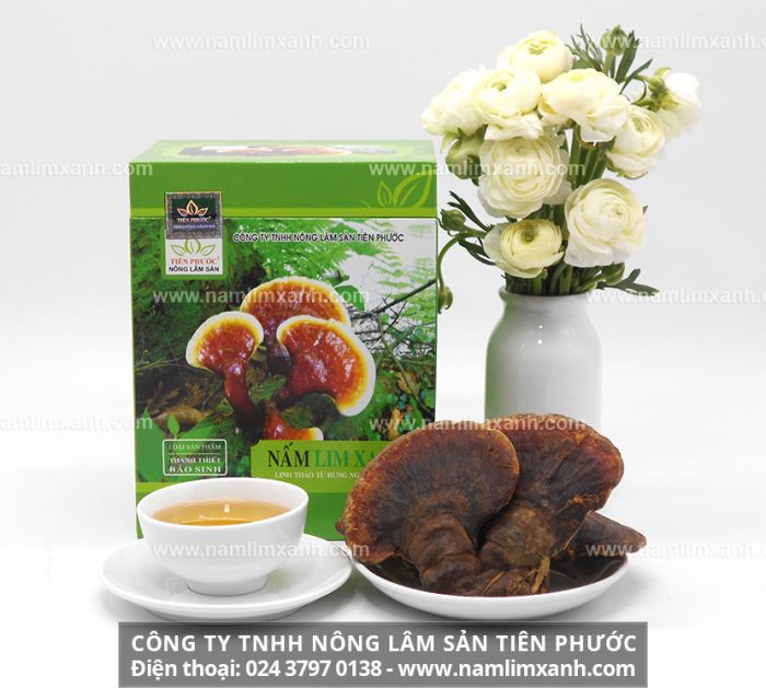 Nấm lim rừng của Công ty TNHH Nấm lim xanh Việt Nam luôn đi đầu về chất lượng sản phẩm