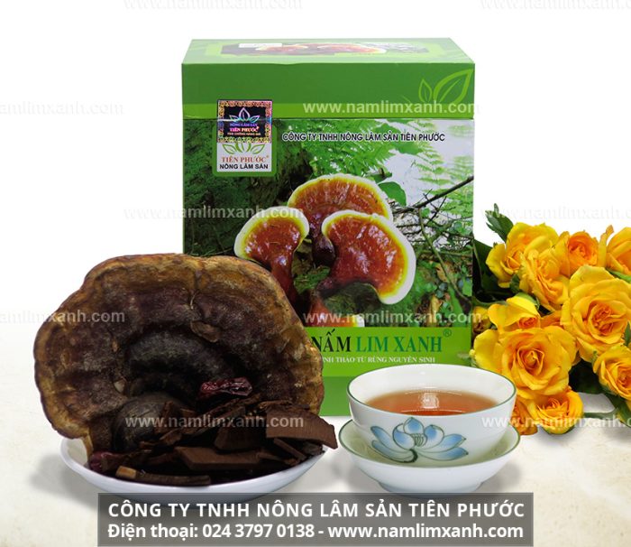 Nấm lim xanh Thanh Thiết Bảo Sinh Tiên Phước được phân phối bởi Công ty TNHH Nấm lim xanh Việt Nam