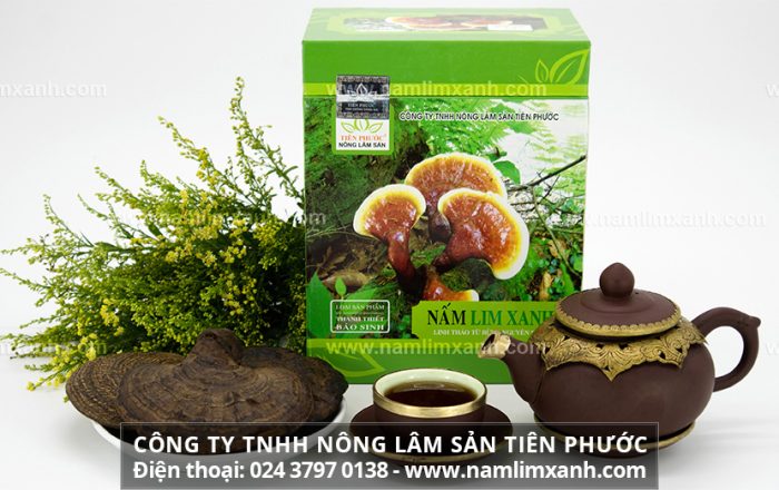 Nấm lim xanh Thanh-Thiết-Bảo-Sinh của Công ty TNHH Nấm lim xanh Việt Nam