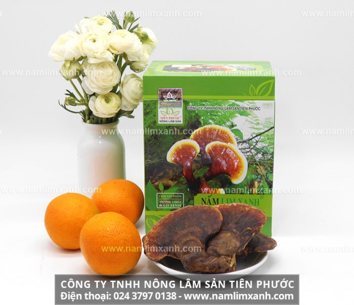 Nấm lim xanh mua ở đâu Quảng Ninh là tốt nhất và giá bao nhiêu đúng nấm lim rừng tự nhiên