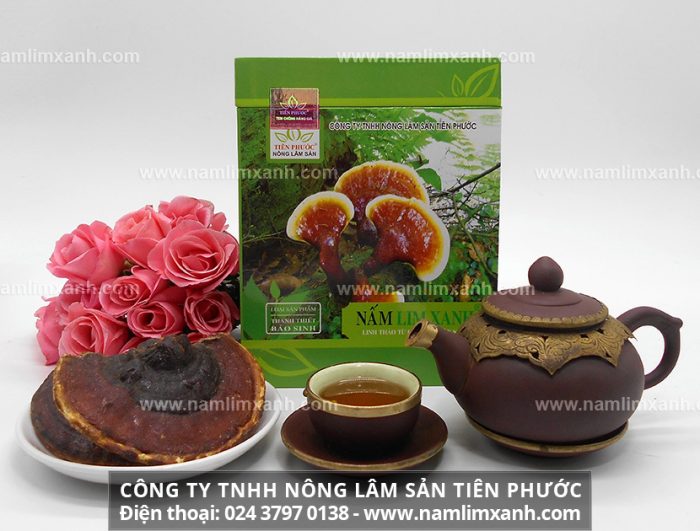 Đại lý bán nấm lim xanh được Công ty TNHH Nấm lim xanh Việt Nam ủy quyền tại Hà Nội