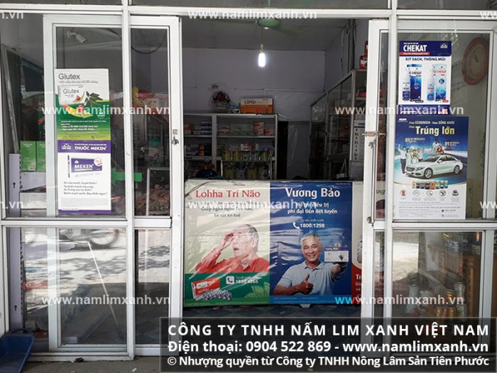 Đại lý bán nấm lim xanh tại Hà Giang được Công ty TNHH Nấm lim xanh Việt Nam ủy quyền