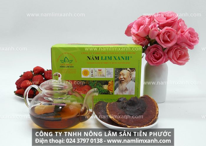 Địa chỉ bán nấm lim xanh chính hãng tại Thanh Hóa của Công ty TNHH Nấm lim xanh Việt Nam