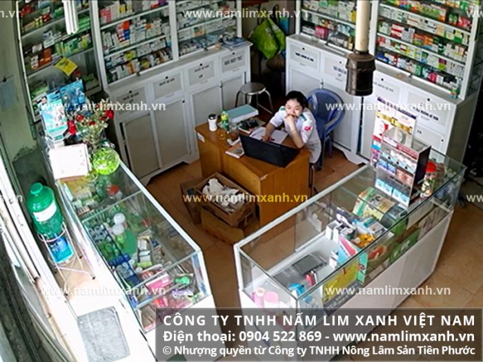 Địa chỉ bán nấm lim xanh chính hãng tại Vũng Tàu của Công ty TNHH Nấm lim xanh Việt Nam
