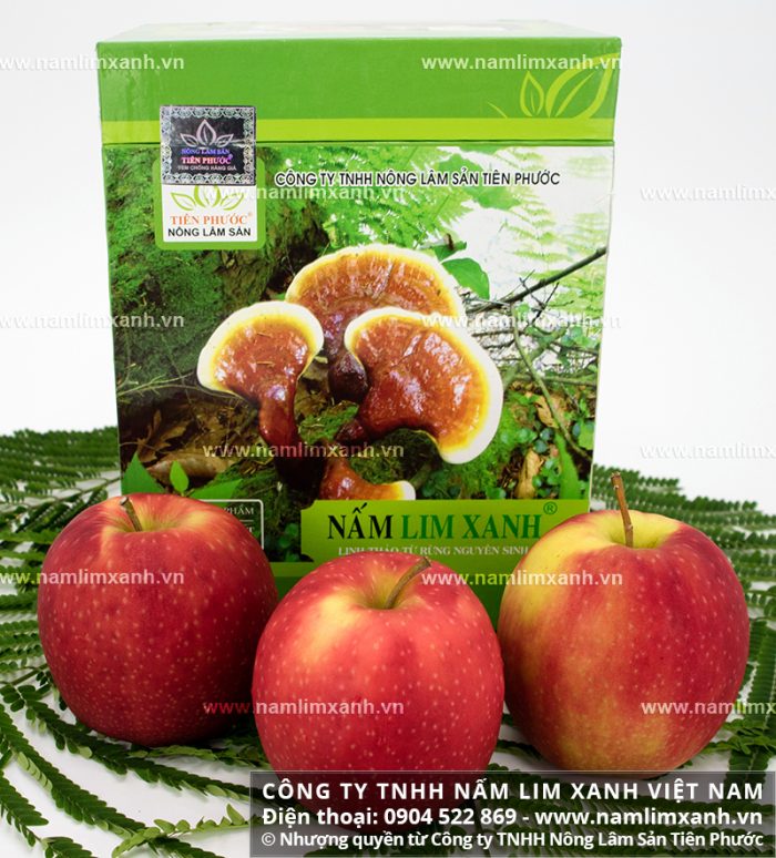 Nấm lim chuẩn được phân phối bởi Công ty TNHH Nấm lim xanh Việt Nam