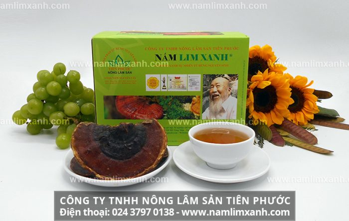 Nấm lim Lào có đặc điểm giống với cây nấm lim xanh Việt Nam không?