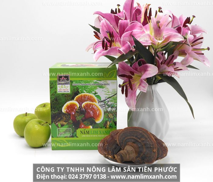 Nấm lim xanh – Món quà biếu Tết ý nghĩa