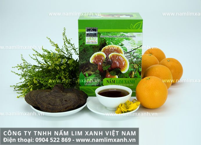 Hình ảnh sản phẩm Nấm lim xanh gia truyền Thanh Thiết Bảo Sinh