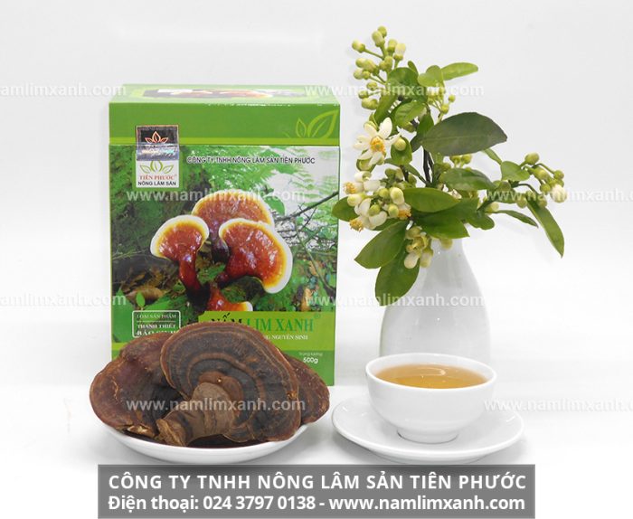 Nấm cây lim tại Công ty TNHH Nấm lim xanh Việt Nam là đơn vị chuyên cung cấp sản phẩm uy tín chất lượng
