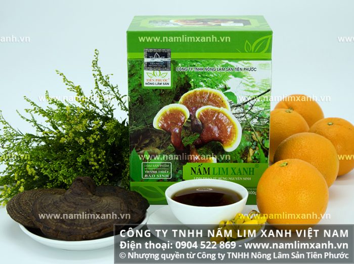 Nấm cây lim tại Công ty TNHH Nấm lim xanh Việt Nam là đơn vị chuyên cung cấp sản phẩm uy tín