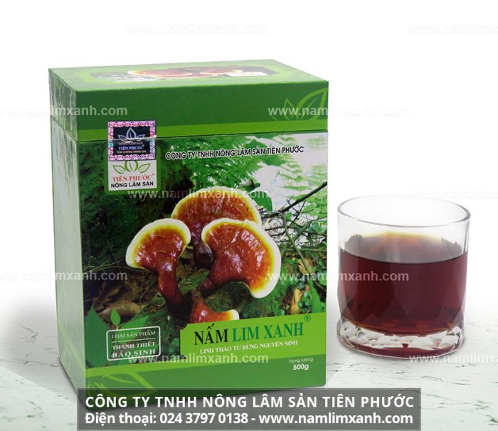 Cách dùng nấm lim xanh hiệu quả cùng cách uống nấm lim rừng Quảng Nam