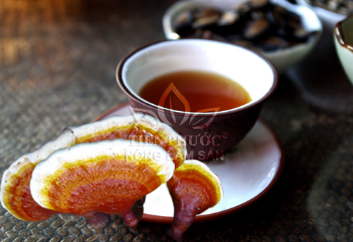 Cách sử dụng nấm lim xanh chữa gan nhiễm mỡ và nấm lim hãm trà