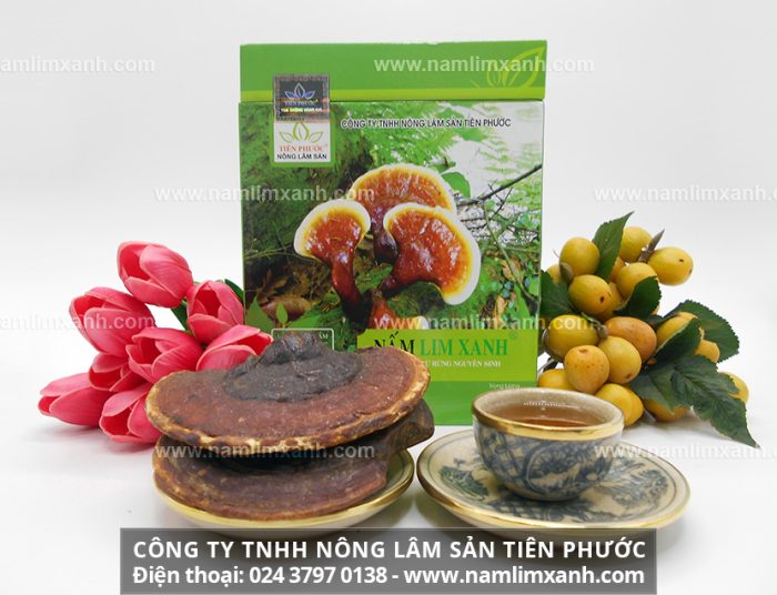 Giá nấm lim xanh trên thị trường và giá nấm lim ở Hà Nội bao nhiêu 1kg