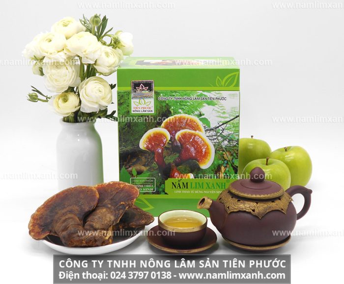 Công ty TNHH Nấm Lim Xanh Việt Nam phân phối với các loại nấm lim xanh chất lượng
