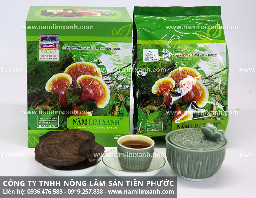 Bán nấm lim xanh tại Hà Nội ở đâu đảm bảo chất lượng nấm lim rừng
