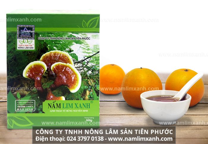 Bán nấm lim xanh tại Hà Nội với địa chỉ bán nấm lim rừng chất lượng