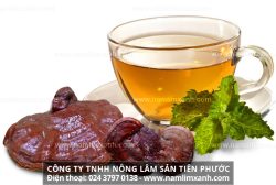 Hướng dẫn cách sử dụng nấm lim xanh ngâm nhân sâm và đảng sâm hiệu quả