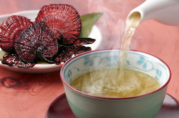 Cách nấu nấm lim xanh đạt hiệu quả chữa bệnh cao và nấm lim hãm trà