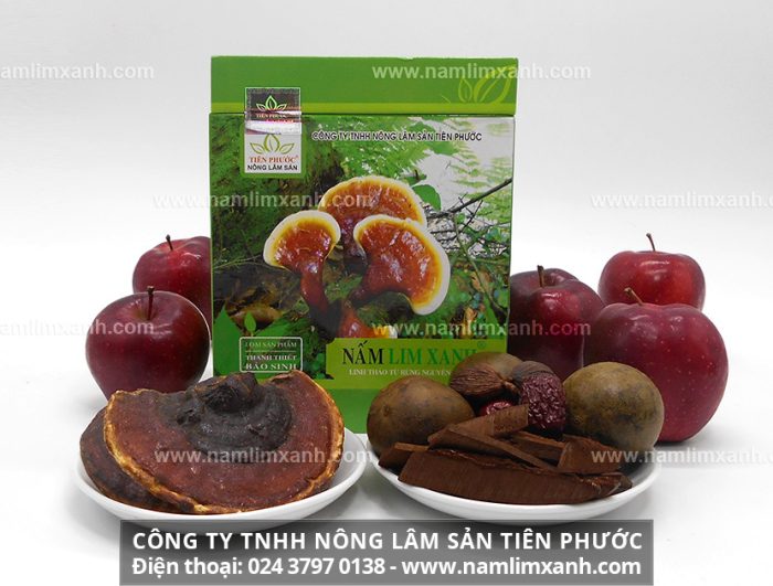 Cần mua nấm lim xanh rừng Quảng Nam với mua nấm gỗ lim tại Hà Nội