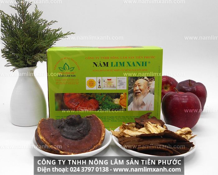 Nấm cây lim xanh Quảng Nam và địa chỉ mua nấm lim Quảng Nam chính gốc