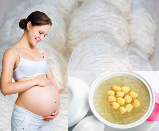 Tổ yến là thực phẩm tốt cho sự phát triển của thai nhi