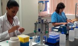 Điều chế thuốc chữa ung thư phổi Cuba
