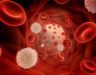 Ung thư máu có trị được không? Chữa bệnh thế nào đảm bảo an toàn
