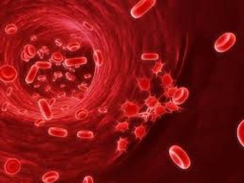 Tế bào gốc ung thư đang xâm lấn các hồng cầu máu.