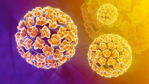 Virus HPV - yếu tố để biết bệnh ung thư cổ tử cung có lây không