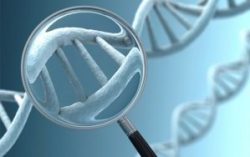 Một số loại Gen di truyền bởi cha mẹ, làm tăng nguy cơ mắc ung thư ở con cái
