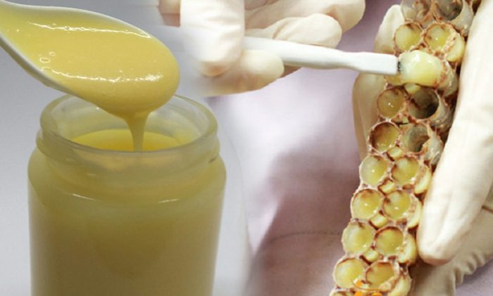Thành phần dinh dưỡng của sữa ong chúa và tác dụng của sữa ong chúa