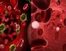 Ung thư máu: Dấu hiệu, nguyên nhân, cách điều trị bệnh ung thư máu
