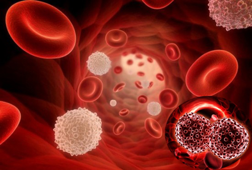 Ung thư máu xảy ra khi tình trạng bạch cầu tăng đột ngột