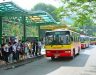 Xe bus qua bệnh viện Ung bướu Hà Nội bao gồm những tuyến nào?