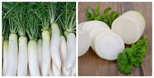 Đặc điểm của củ cải là gì và các hoạt chất có trong củ cải trắng